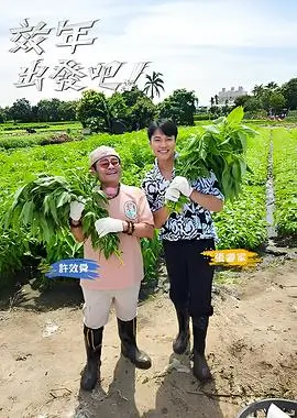 综艺一起去露营吧全集